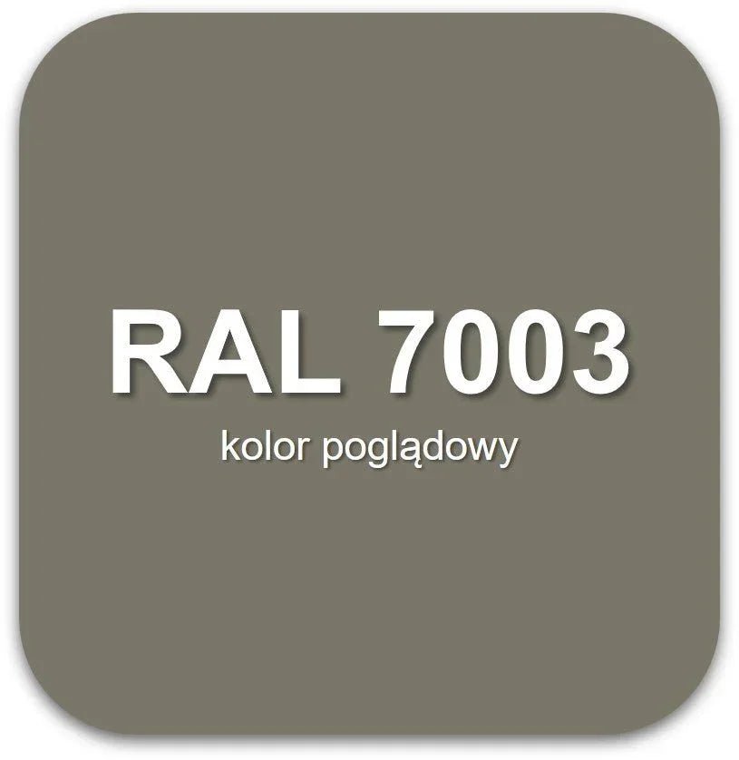 Żywica podłogowa epoksydowa Epidian Floor S1 – RAL 7003 - samopoziomująca, perfekcyjna podłoga dla wymagających - Gaz - Bud Pro