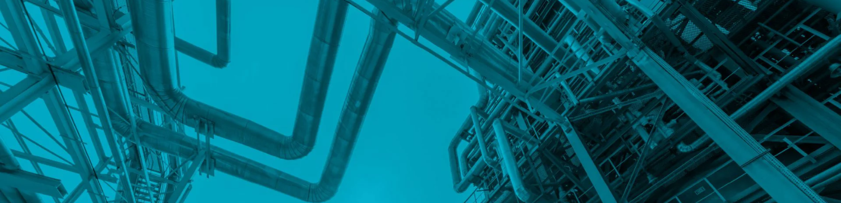O producencie Sarzyna Chemical