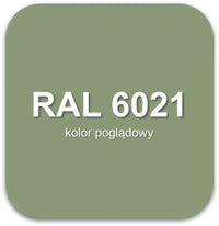 Żywica podłogowa epoksydowa Epidian Floor S1 – RAL 6021 - samopoziomująca, perfekcyjna podłoga dla wymagających - Gaz - Bud Pro