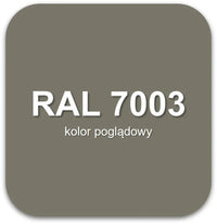 Żywica podłogowa epoksydowa Epidian Floor S1 – RAL 7003 - samopoziomująca, perfekcyjna podłoga dla wymagających - Gaz - Bud Pro